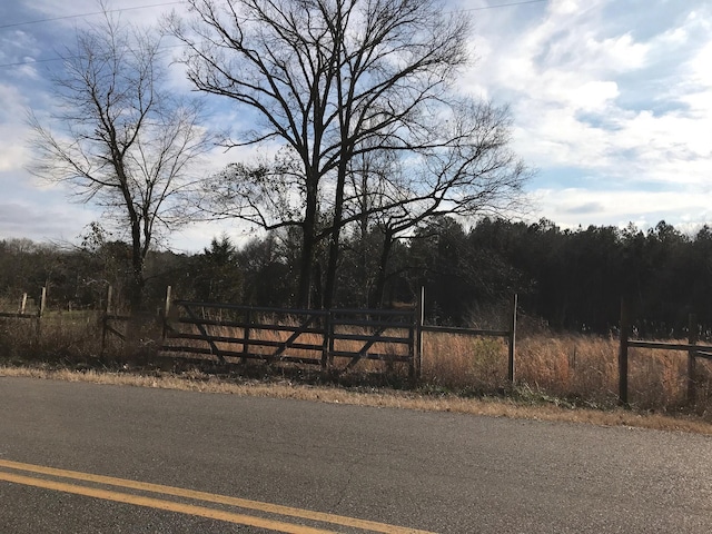 Center Hill Rd, Finger TN, 38334 land for sale