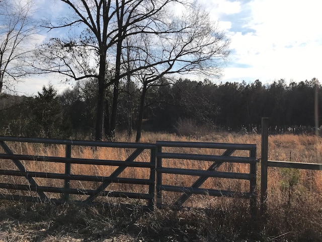 Listing photo 3 for Center Hill Rd, Finger TN 38334