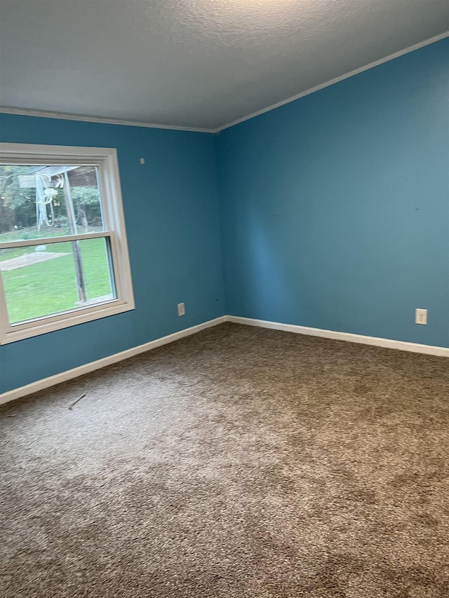 empty room with carpet flooring, crown molding, and a textured ceiling