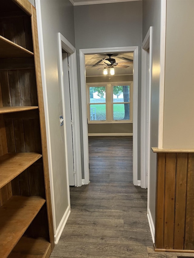 hall featuring dark wood-type flooring