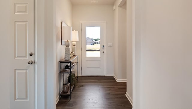 entryway featuring dark wood-type flooring