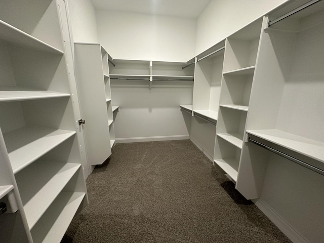 walk in closet with dark colored carpet