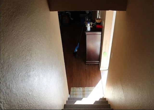 staircase featuring wood-type flooring