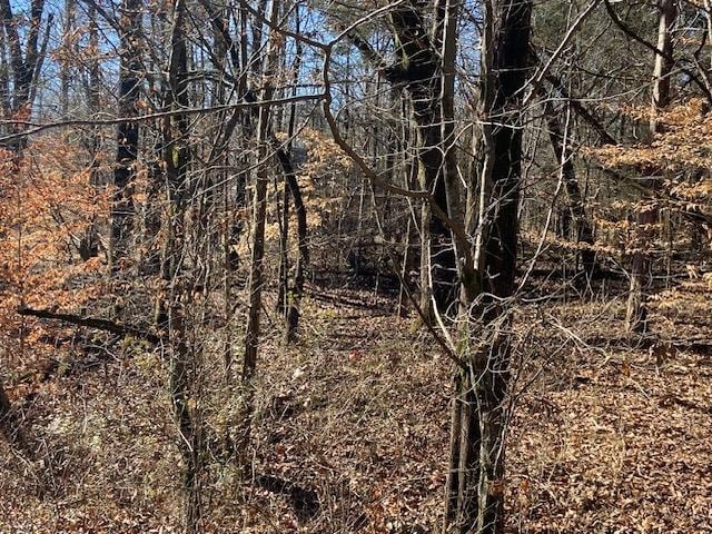 Listing photo 3 for LOT3 Hawthorne Ln, Savannah TN 38372