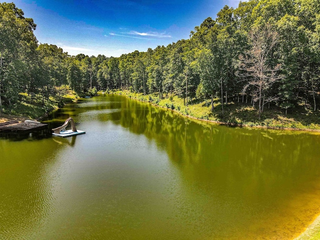 view of property view of water