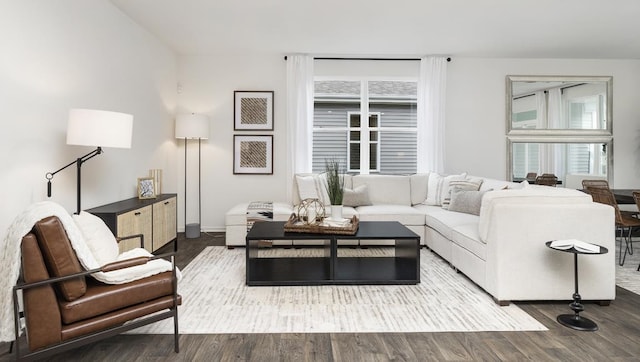 living room with wood-type flooring