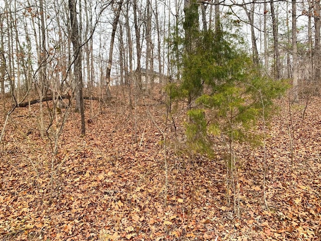 Springwood Dr, Selmer TN, 38375 land for sale