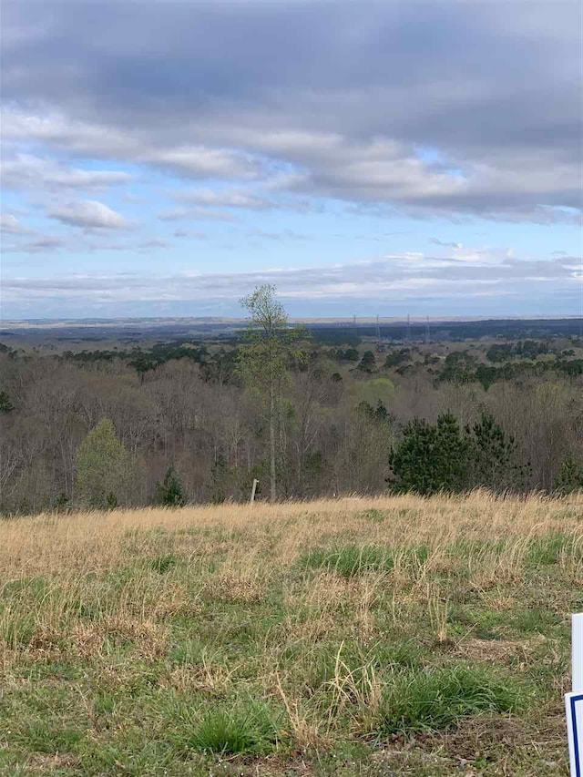 Turkey Knob Rd, Counce TN, 38326 land for sale