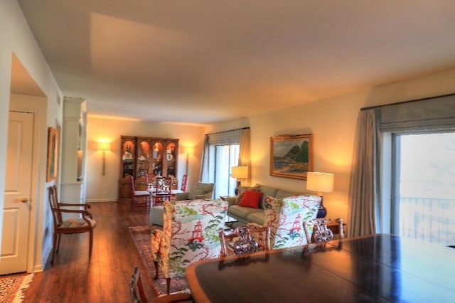 475 N Highland Ave Unit 3G, Memphis, TN 38122 - living room with dark wood-type flooring and a wealth of natural light