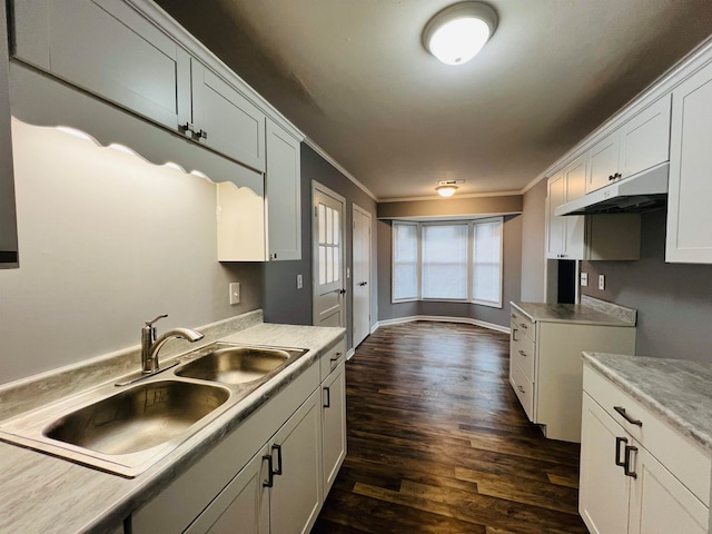 kitchen with sink, ornamental molding, dark wood-type flooring, and white cabinetry