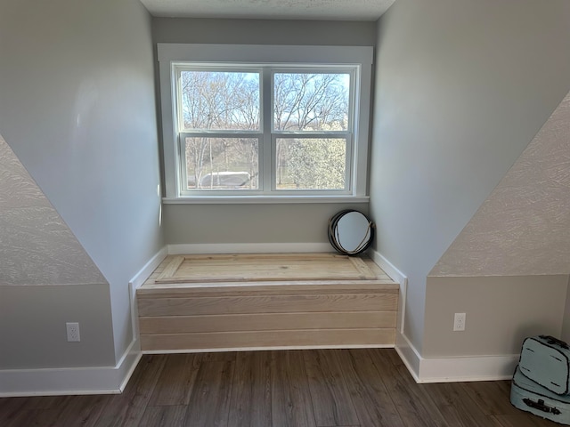 interior space featuring dark hardwood / wood-style floors