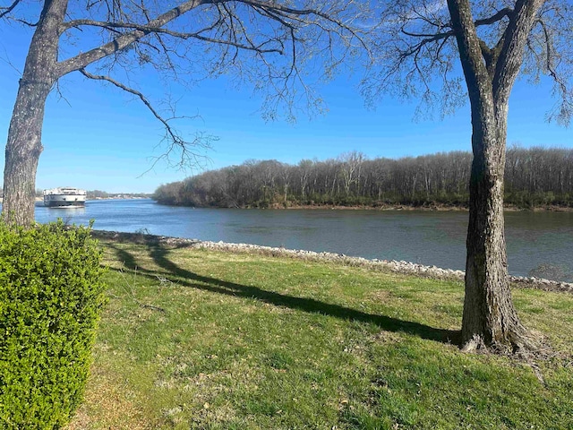 view of property view of water