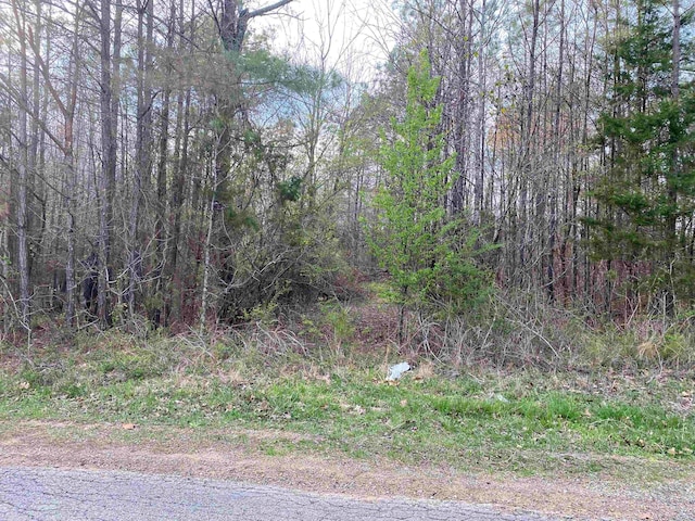 Listing photo 2 for Old Union Rd, Adamsville TN 38310