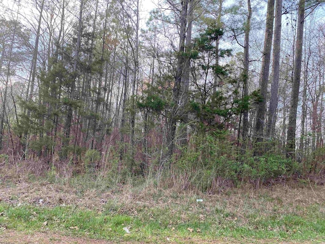 Listing photo 3 for Old Union Rd, Adamsville TN 38310