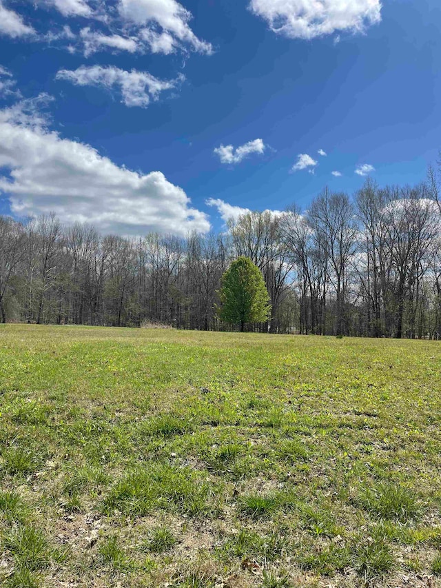 555 Woodland Trace Ln, Cordova TN, 38018 land for sale