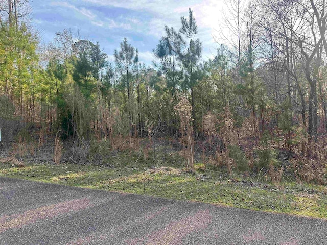 0 Shiloh Falls Ct, Counce TN, 38326 land for sale