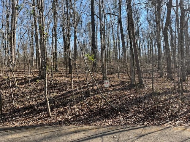 LOT16 Moss Trl, Counce TN, 38326 land for sale