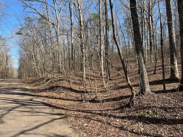 Listing photo 2 for LOT16 Moss Trl, Counce TN 38326