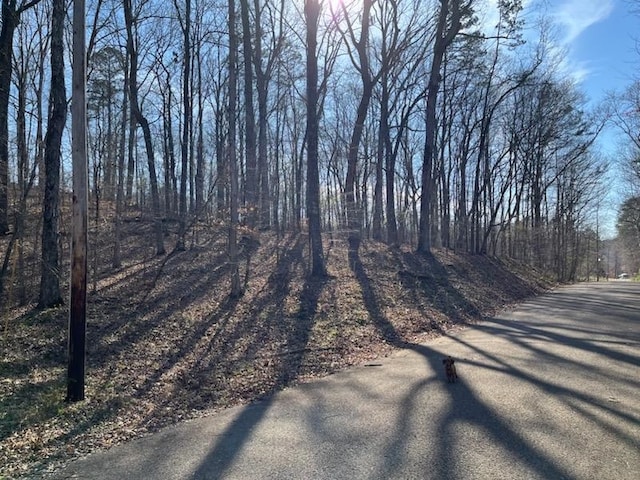 Listing photo 3 for LOT16 Moss Trl, Counce TN 38326