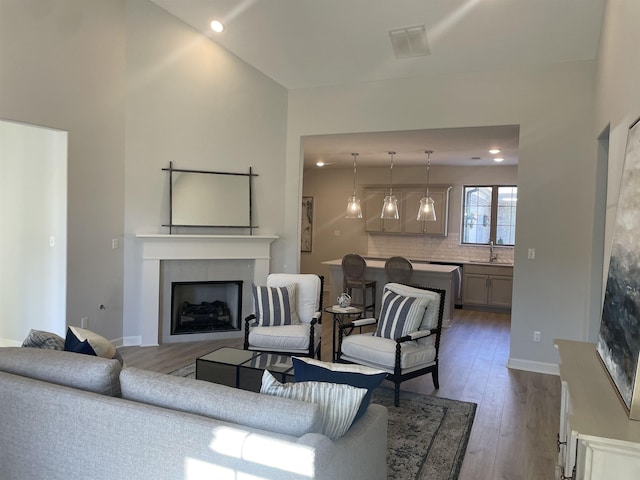 living room with a fireplace, wood-type flooring, and sink