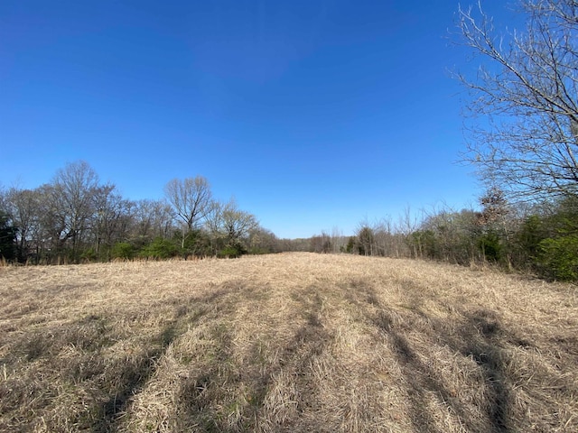 12.79AC Wirt Rd, Oakland TN, 38060 land for sale