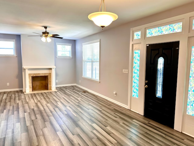 entrance foyer featuring wood-type flooring and ceiling fan