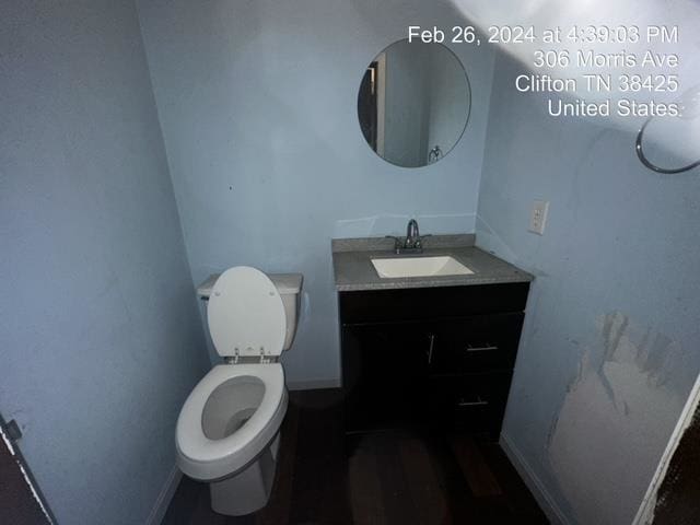 bathroom with toilet and vanity