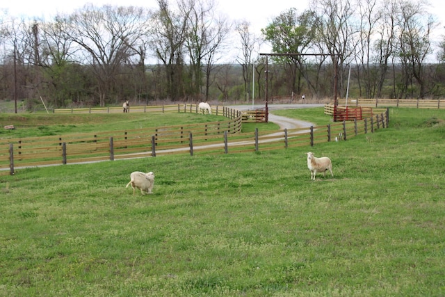 view of property's community with a rural view and a lawn