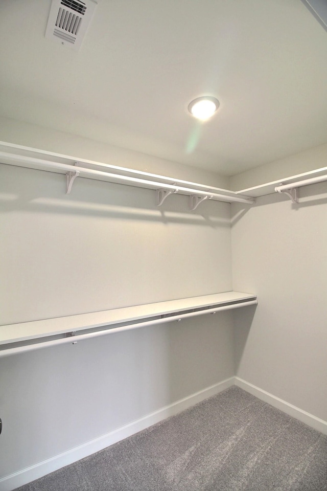 spacious closet featuring carpet floors