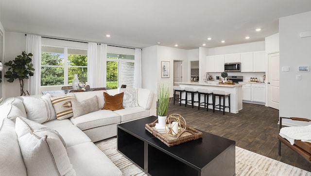 living room featuring wood-type flooring and sink