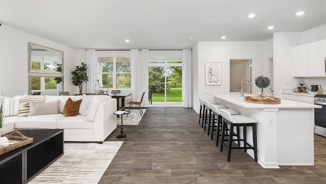 living room featuring dark wood-type flooring