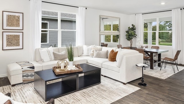 living room featuring hardwood / wood-style flooring