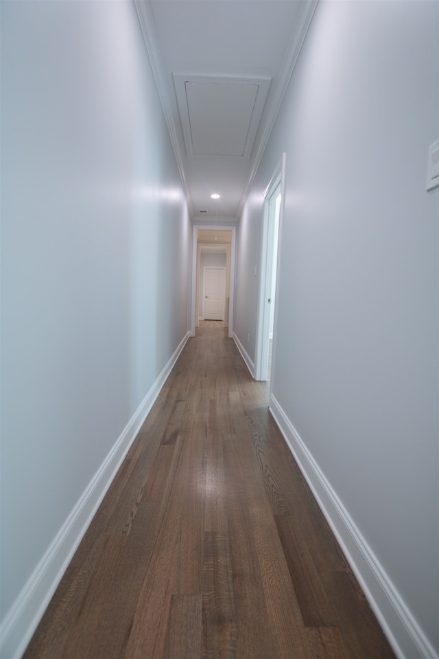 corridor with ornamental molding and wood-type flooring