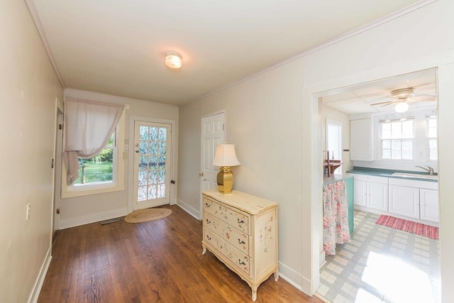 interior space with ornamental molding, wood-type flooring, and sink