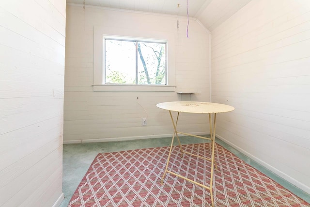 miscellaneous room featuring light carpet and lofted ceiling