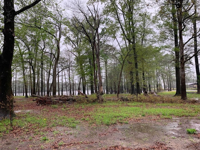 00 Chisholm Lake Spur Rd, Ripley TN, 38063 land for sale