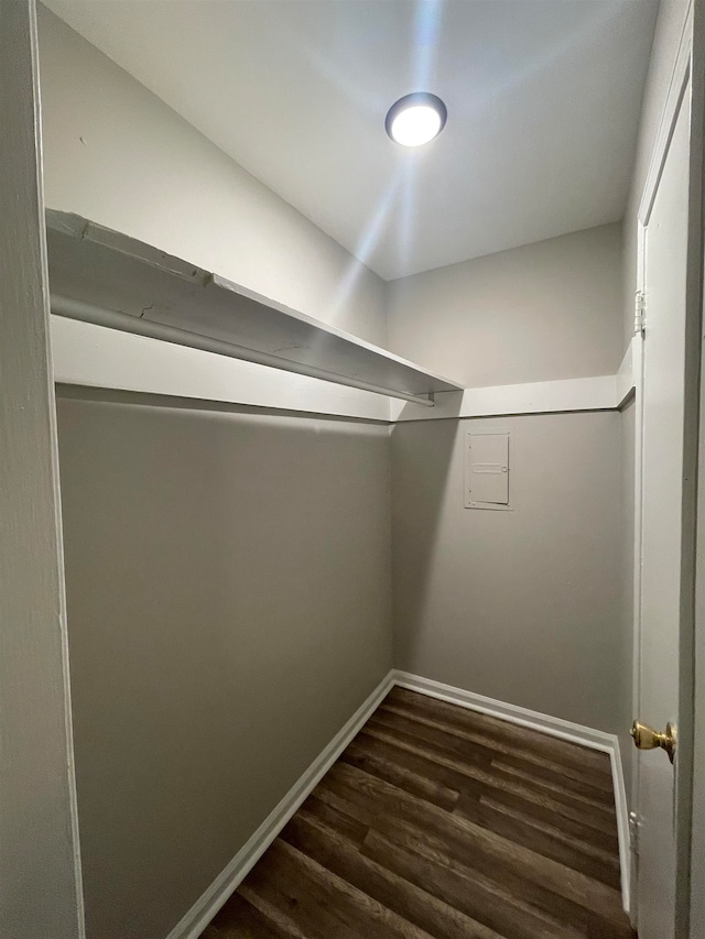 walk in closet featuring dark wood-type flooring