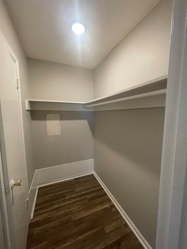 spacious closet with dark hardwood / wood-style floors