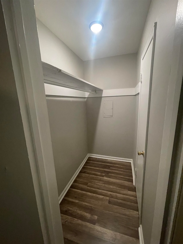 walk in closet with dark hardwood / wood-style flooring