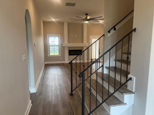 stairs featuring ceiling fan and hardwood / wood-style flooring