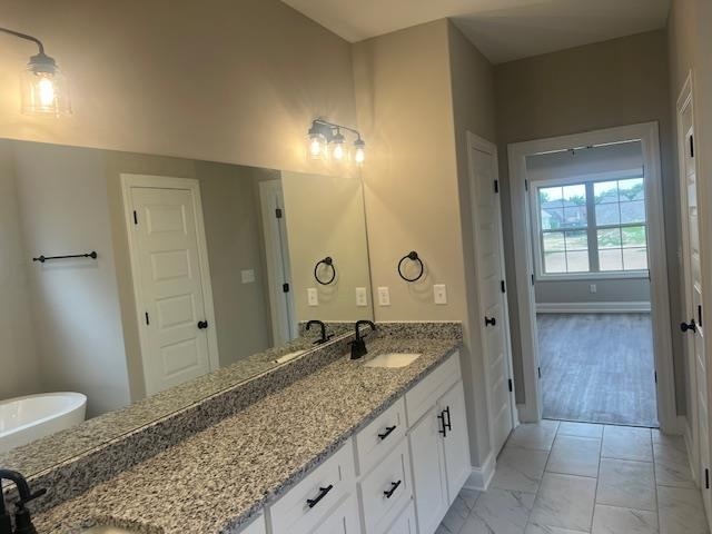 bathroom with wood-type flooring and vanity