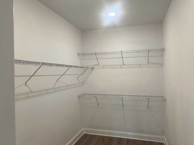 walk in closet featuring dark hardwood / wood-style floors