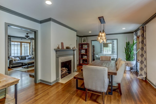 dining room with ornamental molding, wood-type flooring, a fireplace, and a wealth of natural light