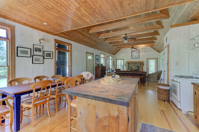 kitchen featuring a wealth of natural light, light hardwood / wood-style floors, lofted ceiling with beams, and ceiling fan