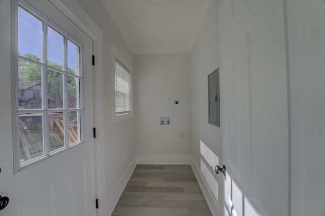 interior space with a healthy amount of sunlight and light hardwood / wood-style flooring