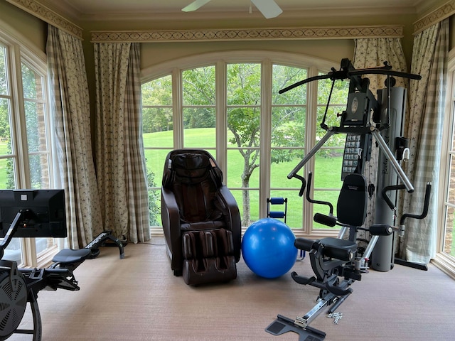 workout room featuring ornamental molding, carpet, and ceiling fan