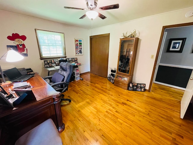 office space with ceiling fan and light hardwood / wood-style floors