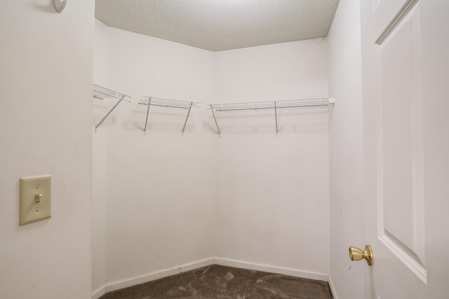 spacious closet with carpet flooring