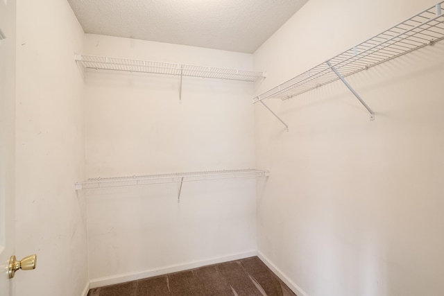 walk in closet featuring dark colored carpet