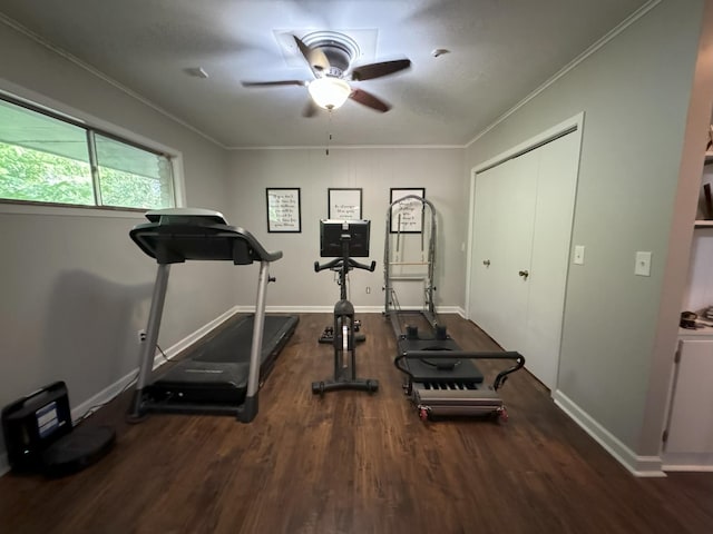 exercise room with wood-type flooring, ceiling fan, and crown molding